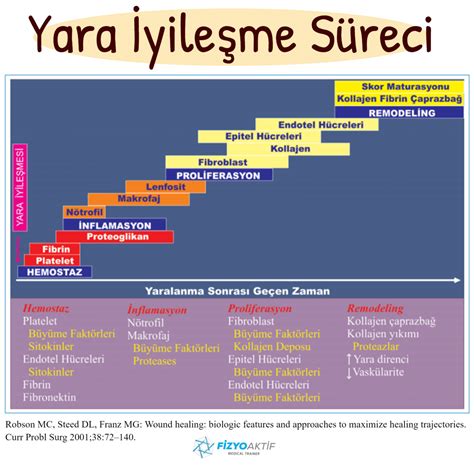 İmplant Vidası İmplant Vidası