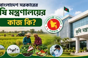 কৃষি মন্ত্রণালয়ের কাজ.png