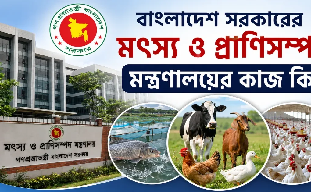 মৎস্য ও প্রাণিসম্পদ মন্ত্রণালয়ের কাজ.png