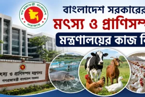 মৎস্য ও প্রাণিসম্পদ মন্ত্রণালয়ের কাজ.png